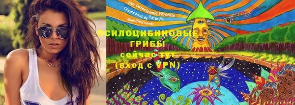 ALPHA-PVP Алексеевка