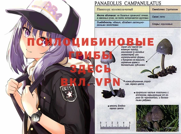 каннабис Алексин