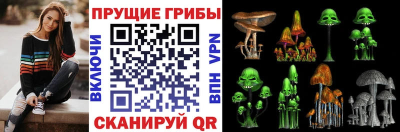 купить наркотик  Сасово  Галлюциногенные грибы мухоморы 
