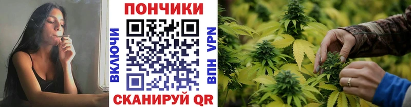 хочу   Сасово  Бошки марихуана ГИДРОПОН 
